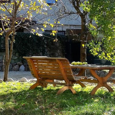 Willa Centrum Zakopane Kültér fotó